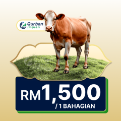 1 Bahagian Lembu