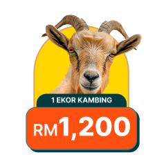 1 Ekor Kambing (Anak Perempuan)